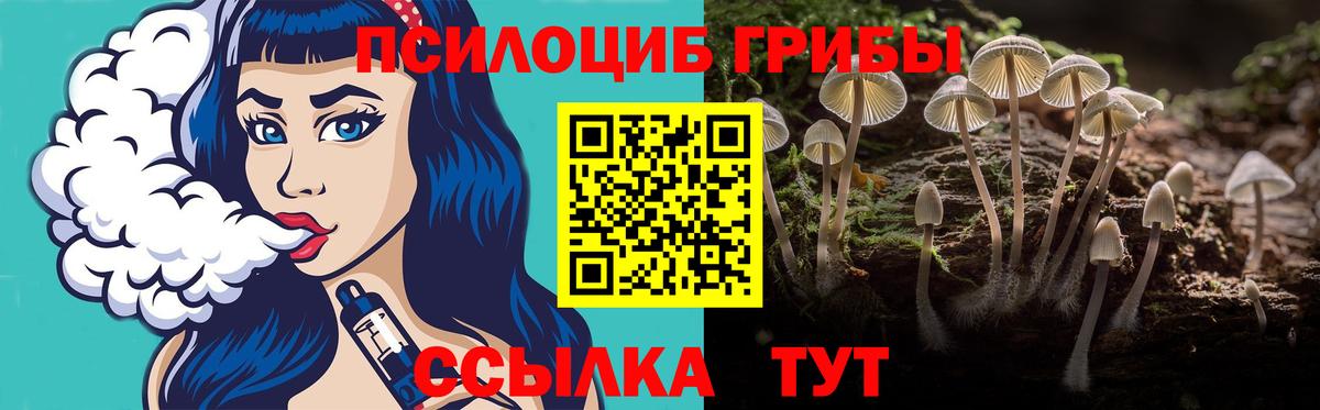 Светлоград  Галлюциногенные грибы прущие грибы  Вход с VPN 