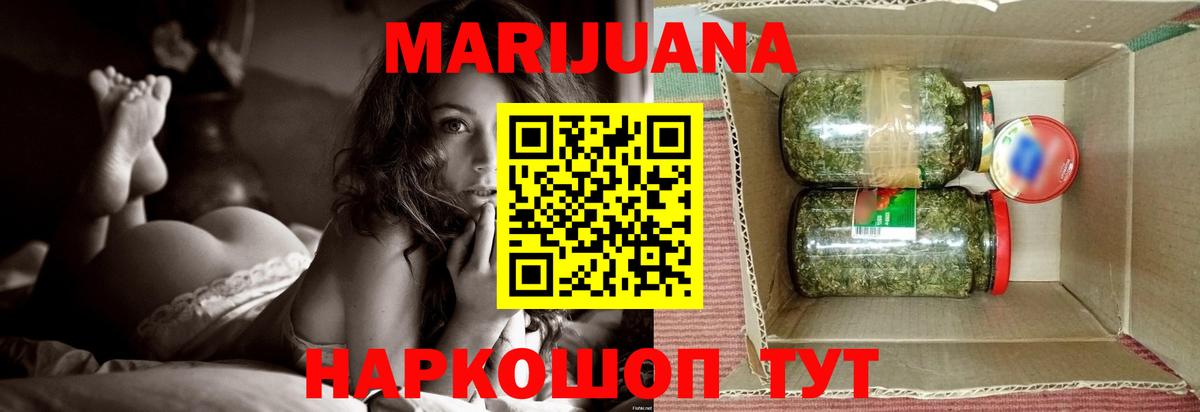 Бошки Шишки планчик Светлоград